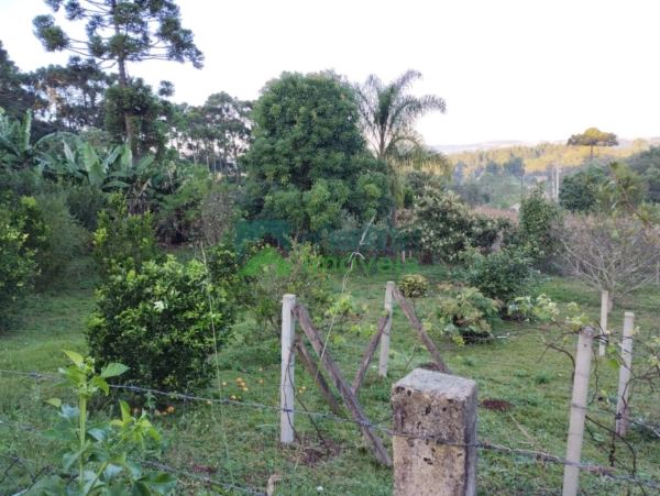 Terreno  Lote