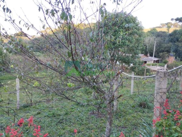 Terreno  Lote