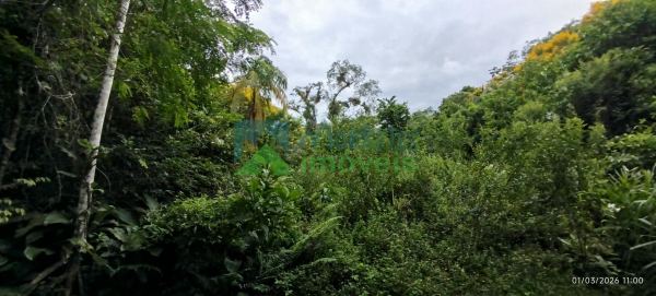 LOTE À VENDA EM PONTE ALTA  MORRETESPR.