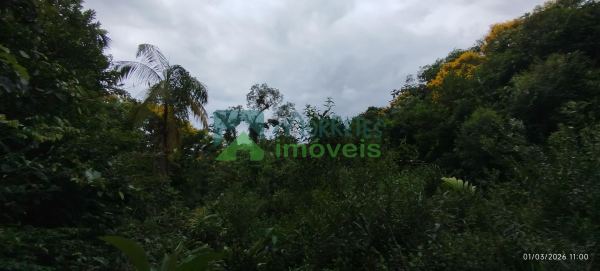 LOTE À VENDA EM PONTE ALTA  MORRETESPR.