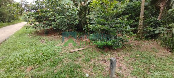 LOTE À VENDA EM PONTE ALTA  MORRETESPR.