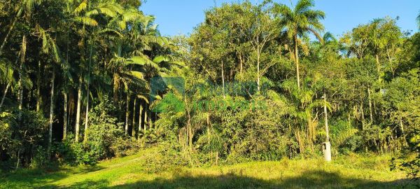 Chácara no Km 17 apenas 400 metros da BR 277 área de 66.600m²