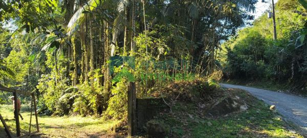 Chácara no Km 17 apenas 400 metros da BR 277 área de 66.600m²