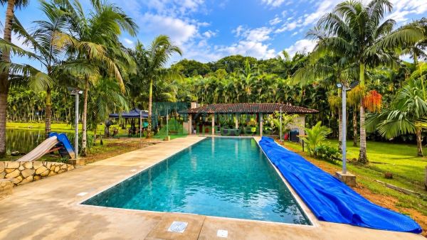 Chácara com 25.000m² com rio , lagoa com peixes, chalé, e casa, Morretes, PR