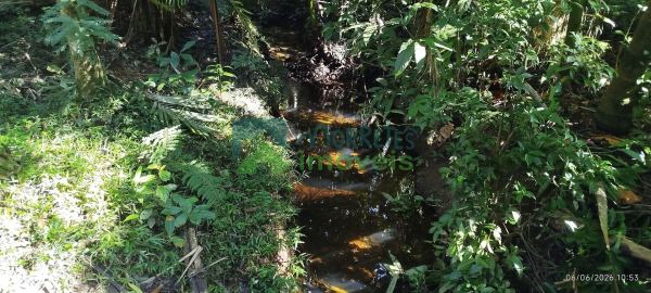  ÁREAS RURAIS À VENDA EM MORRETESPR  NATUREZA, ÁGUA E QUALIDAD...