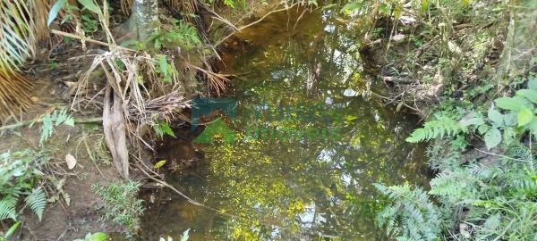  ÁREAS RURAIS À VENDA EM MORRETESPR  NATUREZA, ÁGUA E QUALIDAD...