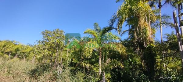  ÁREAS RURAIS À VENDA EM MORRETESPR  NATUREZA, ÁGUA E QUALIDAD...