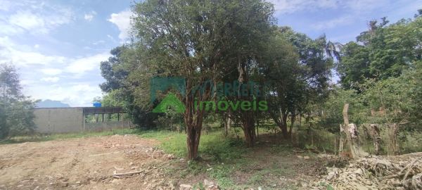 Excelente terreno, ótima oportunidade de investimento.