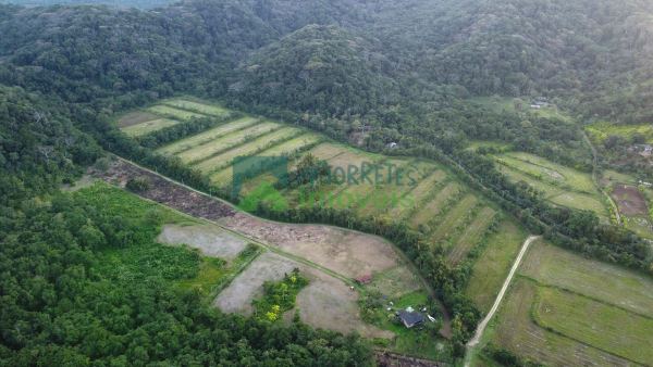Sítio 14 Alqueires em Itaqui  Atividade Cultivo de Arroz ou Pi...