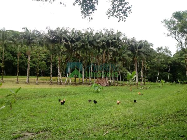 Chácara (pequeno sítio) com 22.344m² na  Sesmaria em Morretes/...