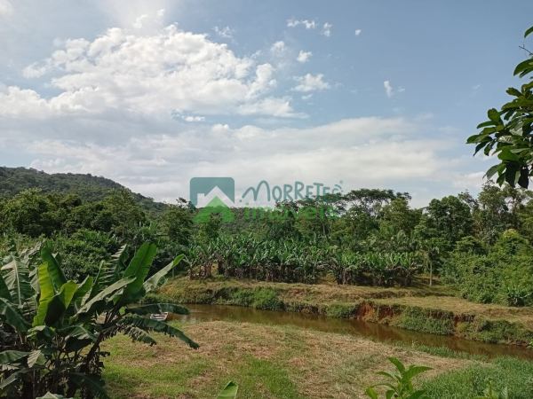 Sítio/Fazenda no Itaqui município de Guaraqueçaba com 86,89 al...