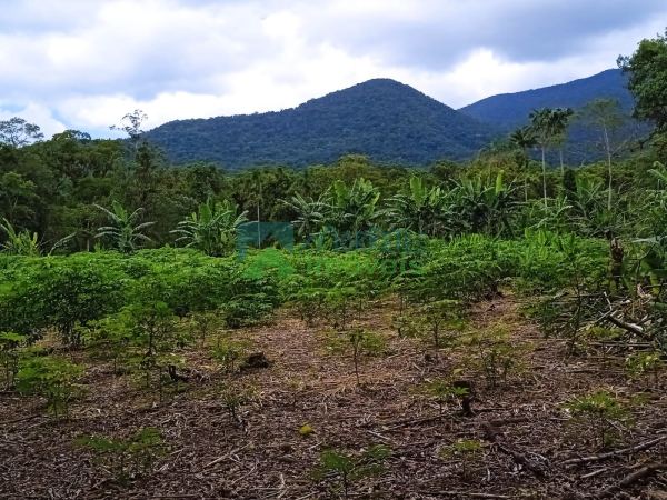 Sítio/Fazenda no Itaqui município de Guaraqueçaba com 86,89 al...