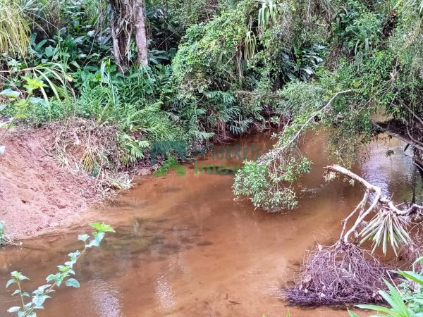 Sítio/Fazenda no Itaqui município de Guaraqueçaba com 86,89 al...