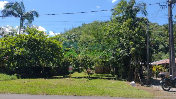Área Exclusiva na Estrada da Graciosa  10.000 m² com Potencia...