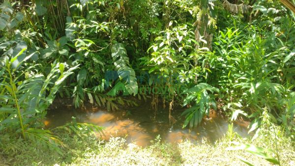 Área Exclusiva na Estrada da Graciosa  10.000 m² com Potencia...