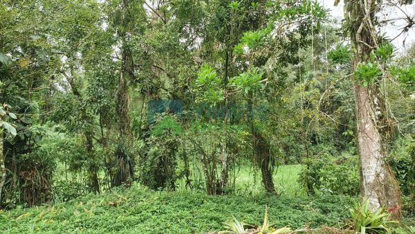 Terreno à venda,21200.00 m², Vila das Palmeiras, MORRETES - PR