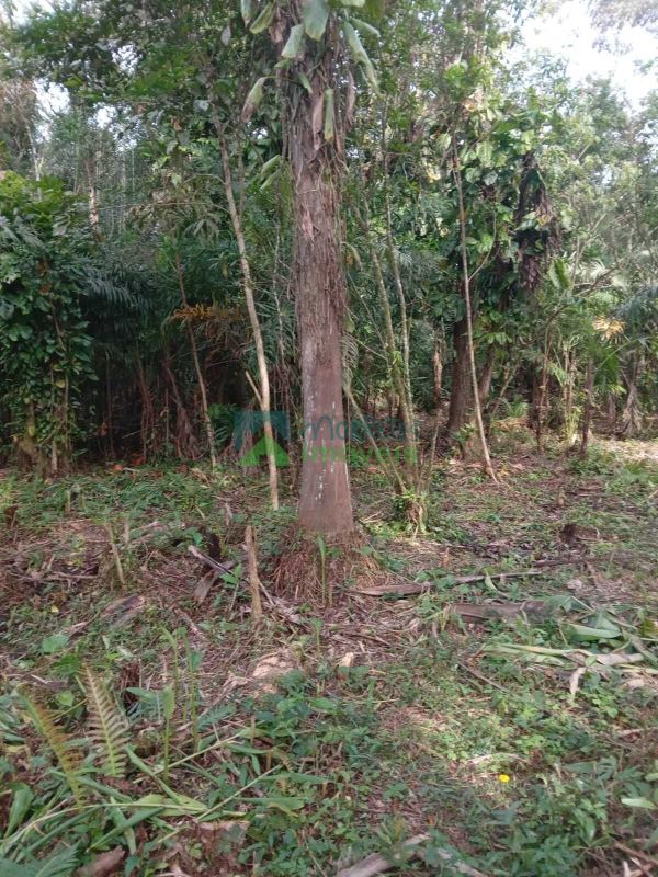 Terreno para Chácara ou Casa de Campo.