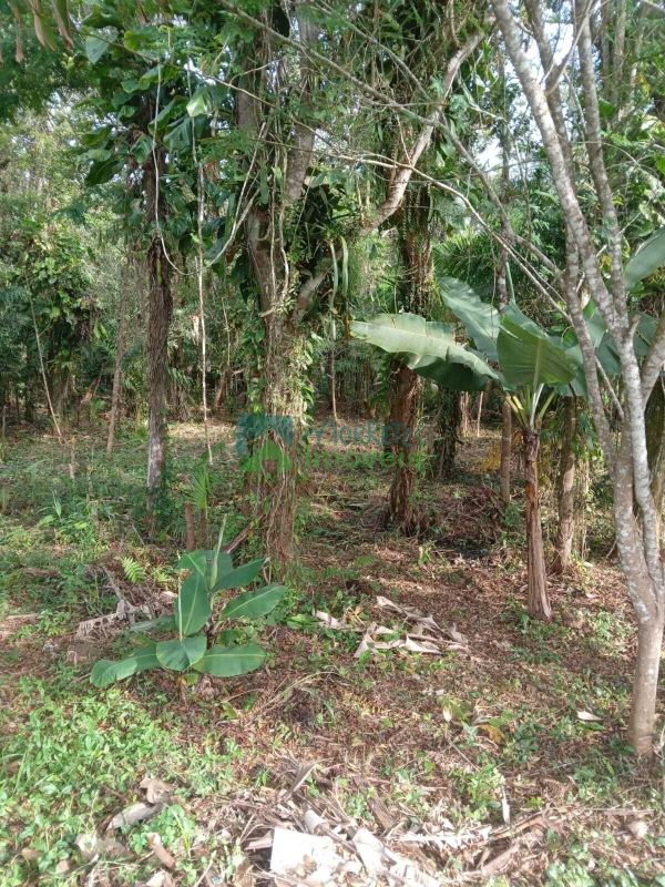 Terreno para Chácara ou Casa de Campo.