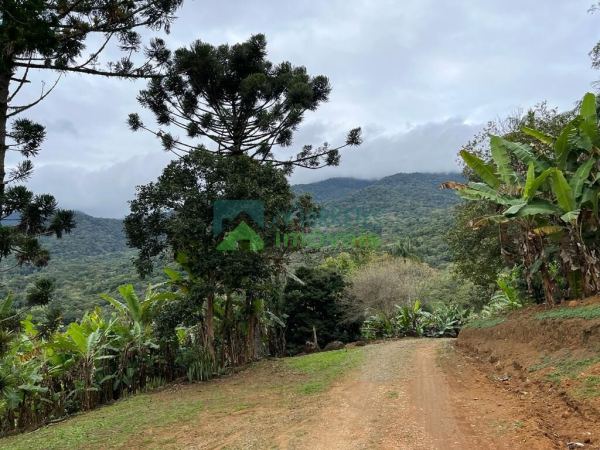 Chácara 36.600 m² em Morretes com 3 tanques de Peixes 1500 pés...