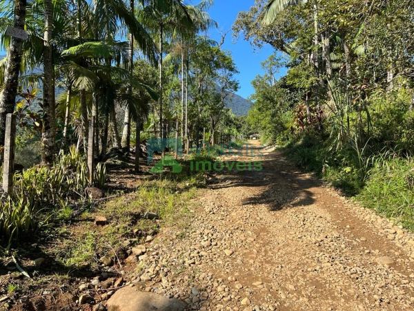 Chácara 36.600 m² em Morretes com 3 tanques de Peixes 1500 pés...