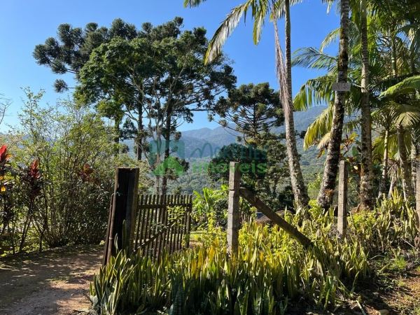 Chácara 36.600 m² em Morretes com 3 tanques de Peixes 1500 pés...