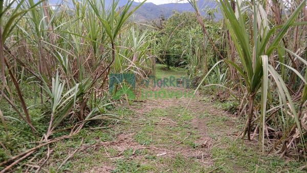 Chácara com Matricula no Sambaqui com 23.000m² casa e 4 tanque...