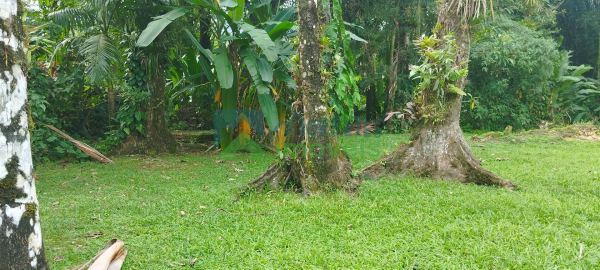 Rancho a beira rio