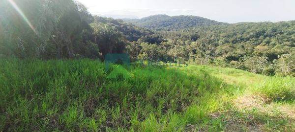 Terreno à venda,9838.00 m², Anhaia, MORRETES - PR