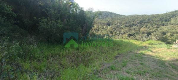 Terreno à venda,9838.00 m², Anhaia, MORRETES - PR