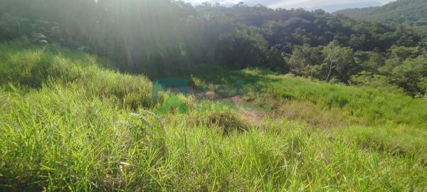 Terreno à venda,9838.00 m², Anhaia, MORRETES - PR