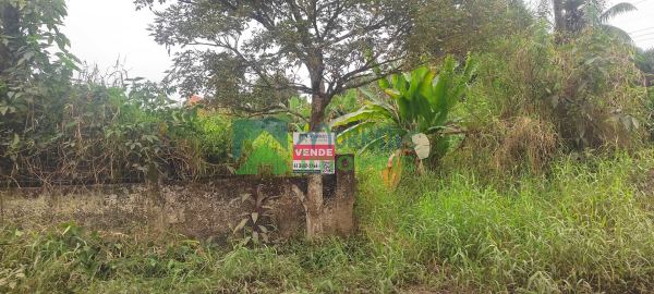 Terreno à venda,410.00 m², Vila das Palmeiras, MORRETES - PR