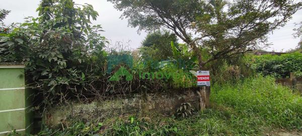 Terreno à venda,410.00 m², Vila das Palmeiras, MORRETES - PR