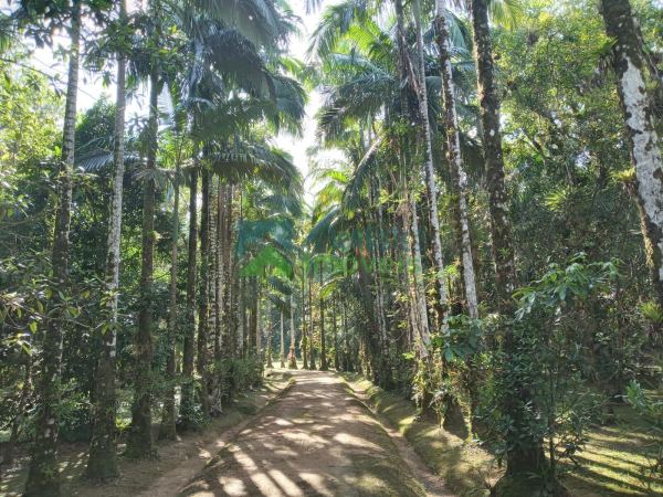 Chácara  com 306.287 m² apenas 3Km do Centro Histórico de Morr...