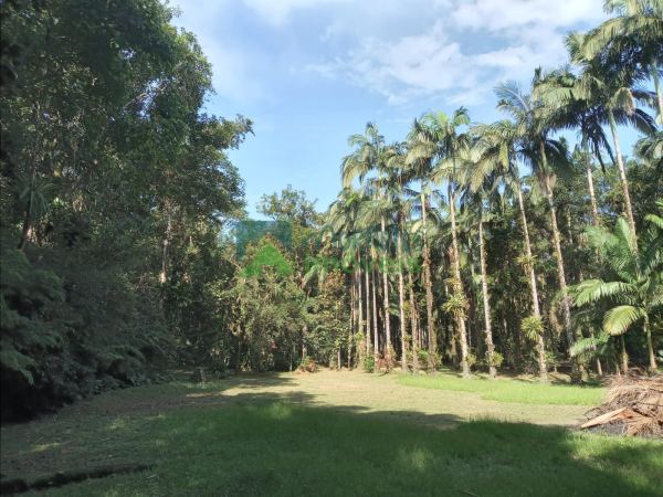 Chácara  com 306.287 m² apenas 3Km do Centro Histórico de Morr...