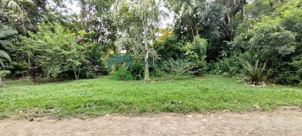 Lotes a Venda em Morretes