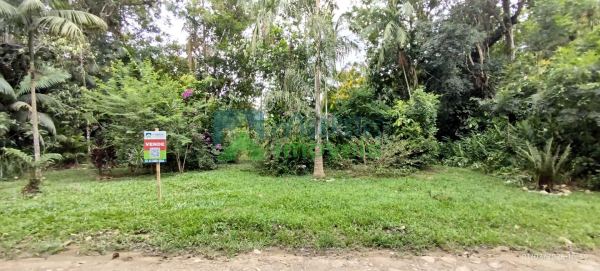 Lotes a Venda em Morretes