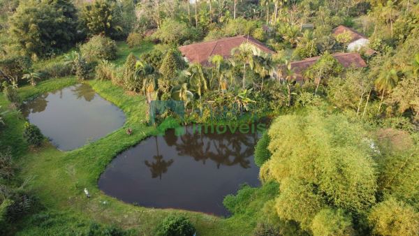 Chácara em Morretes no Sarapia com 70.400,00m² apenas  400 met...