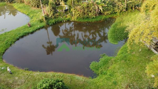 Chácara em Morretes no Sarapia com 70.400,00m² apenas  400 met...