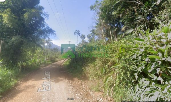 Terreno Lote para construir com 10.000 metros dentro da Mata A...