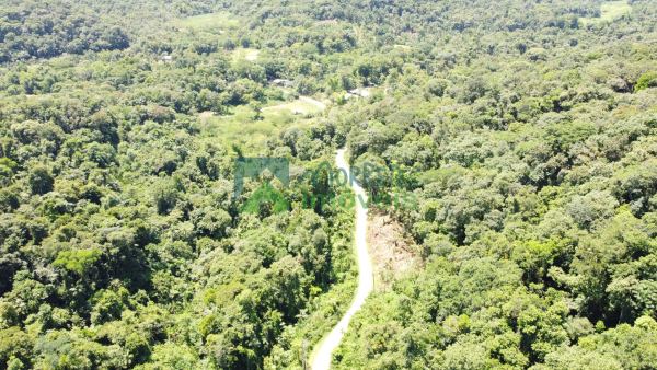 Terreno com 6,35 alqueires (15,38 hec.)  Documentação, Matricu...