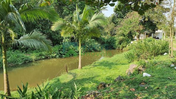 Chácara Morretes a beira do rio Sapitanduva com 25.712m mais d...