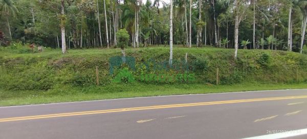 Área Residencial/Comercial em Morro Grande, Morretes/PR