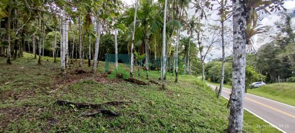 Área Residencial/Comercial em Morro Grande, Morretes/PR
