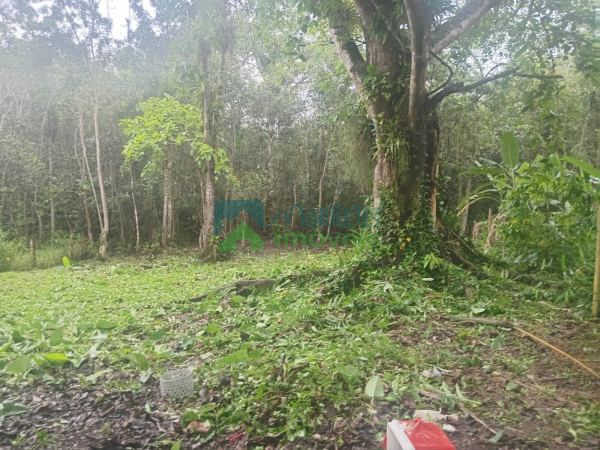 Terreno Lote na beira do rio dos Patos ótimo para pescadores l...
