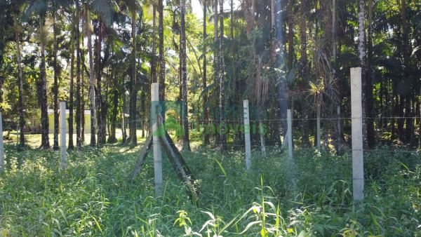 Terreno Lote com 1.500m² plano, frente para estrada, próximo 2...