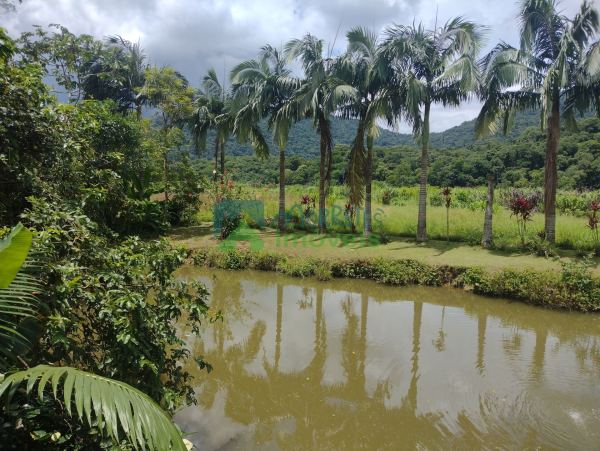 Chácara Sítio 8,4 hectares  com Casa , galpão, lago, salão de ...