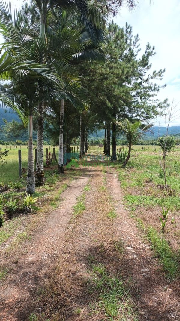 Chácara no Rio Cachoeira, em frente a rodovia com 28.000m²  em...