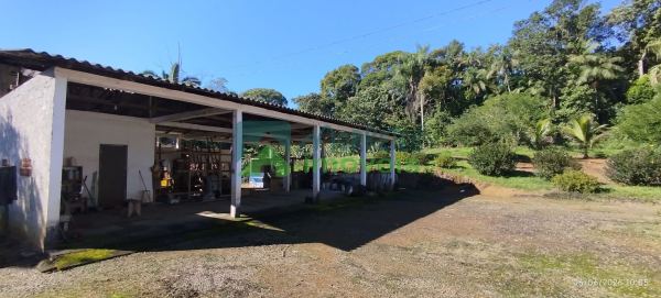  EXCELENTE CHÁCARA COM CASA, BARRACÃO E POMAR PRODUTIVO EM MOR...