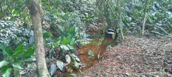 Terreno URBANO à venda,6392.15 m², Raia Velha, MORRETES - PR
