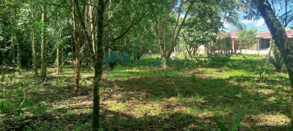 Terreno URBANO à venda,6392.15 m², Raia Velha, MORRETES - PR